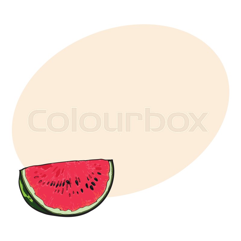 800x800 Quarter Slice Of Ripe Watermelon With Stock Vector Colourbox