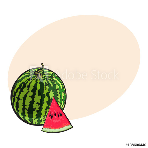 500x500 Whole Striped Watermelon With Curled Up Tail And Triangular Piece