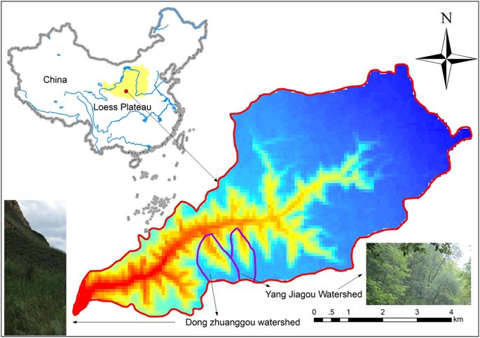 685x483 Comparing Watershed Afforestation And Natural Revegetation Impacts