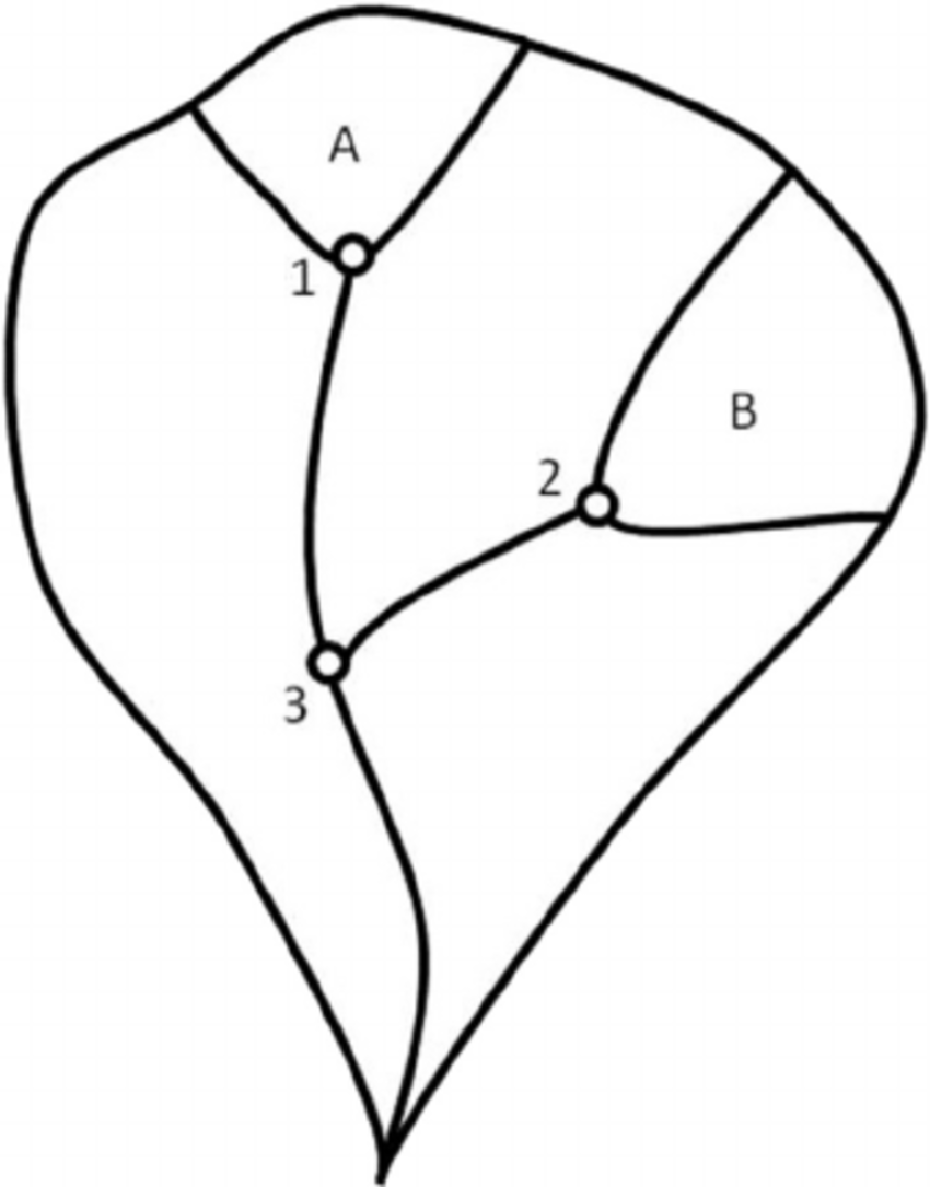 850x1085 Conceptual Watershed With Subbasins For Modeling Bmplid Practice