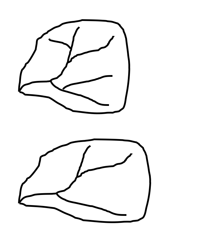 726x794 Solved Mark The Watershed Ridge