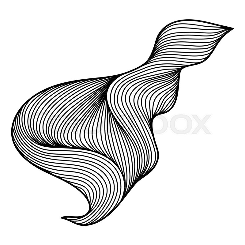 800x800 Wave Hair Line Curl Monochrome Stock Vector Colourbox
