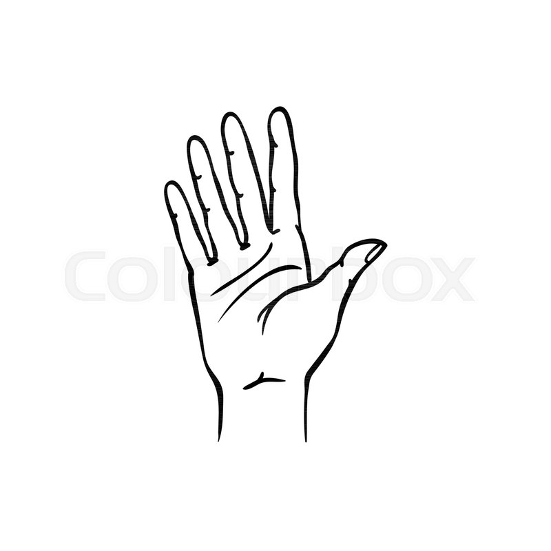 800x800 Human Hand Showing Five Fingers In Stock Vector Colourbox