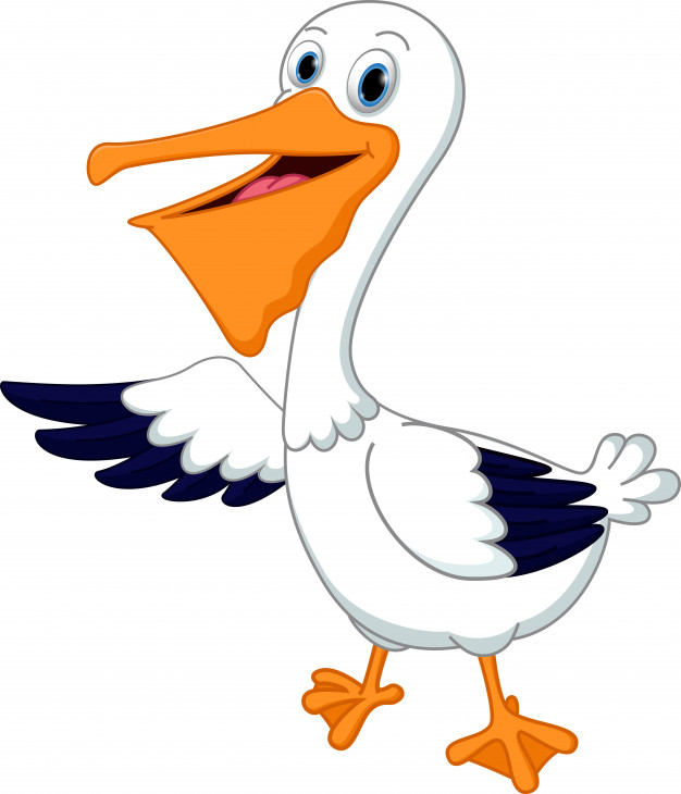 626x730 Cute Pelican Cartoon Waving Hand Vector Premium Download