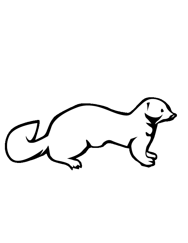 612x792 collection of free weasel drawing mink download on ui ex