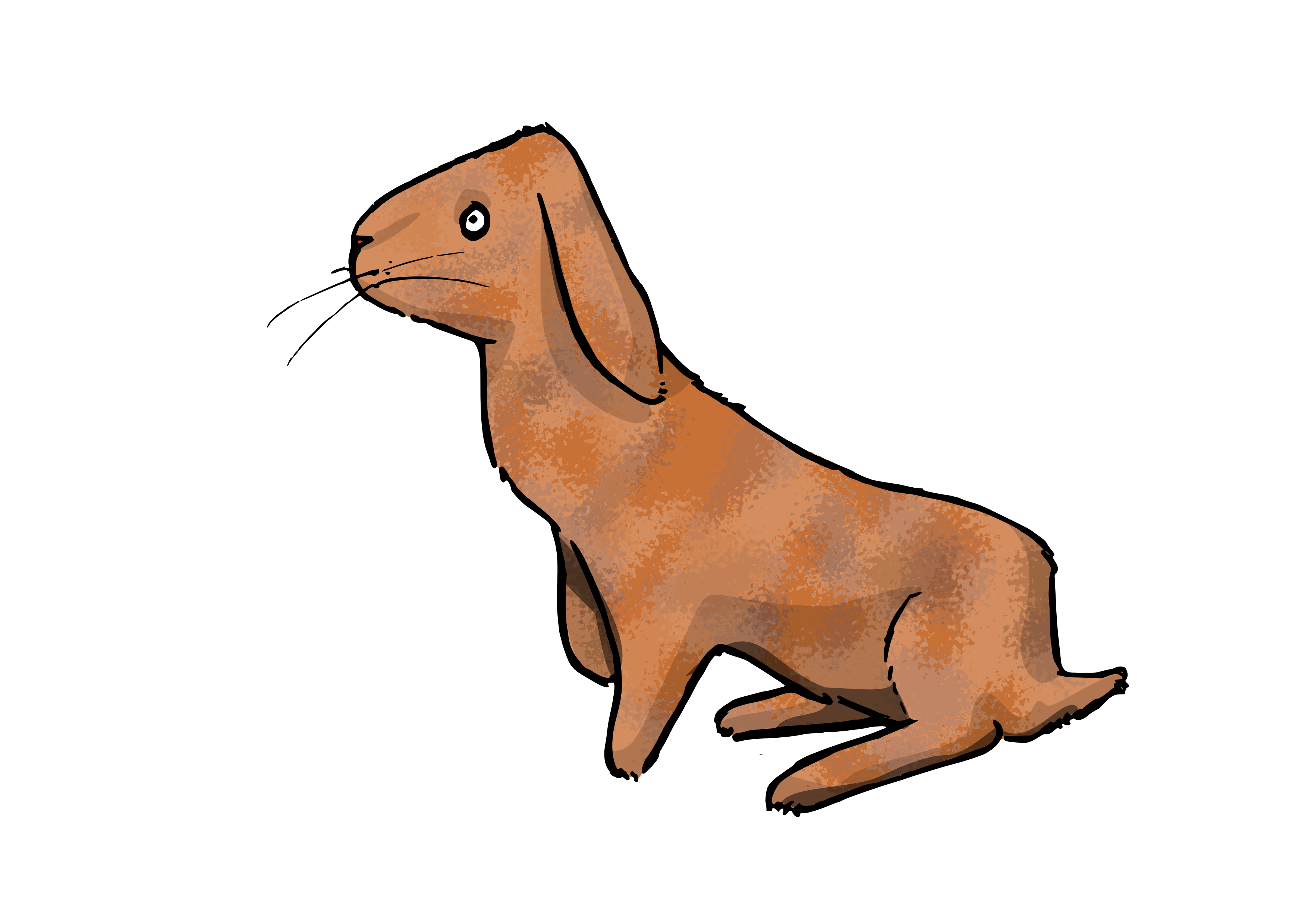 3508x2480 Collection Of Free Weasel Drawing Realistic Download On Ui Ex