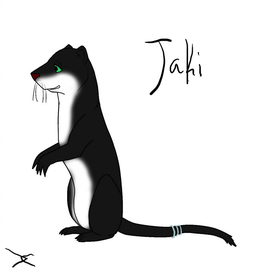 874x914 First Drawing Of Weasel Xd