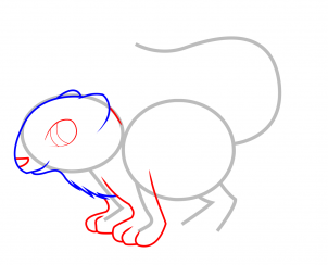 302x244 How To Draw How To Draw A Weasel For Kids