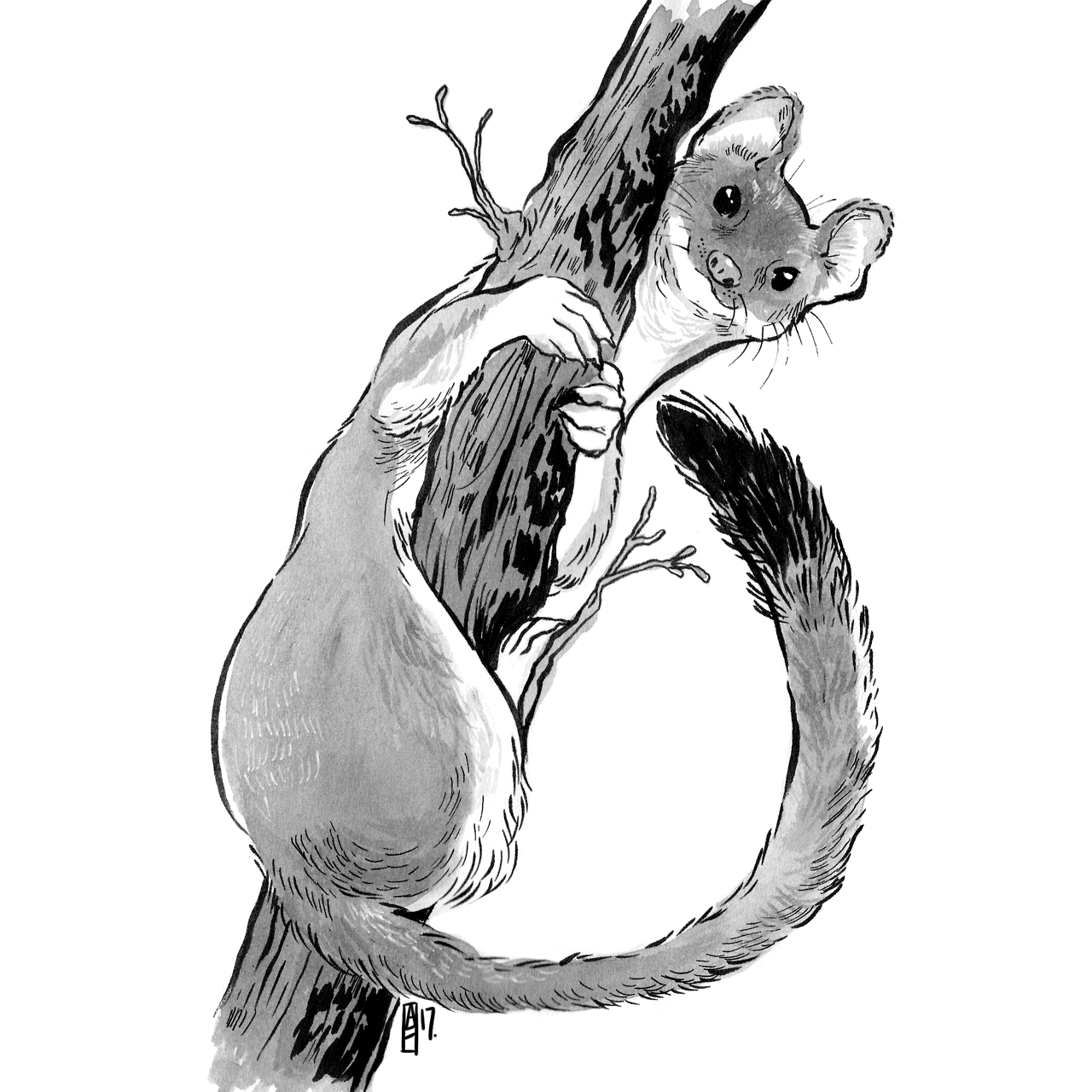 1280x1280 it's scatterbee! inktober day prompt here's an animal