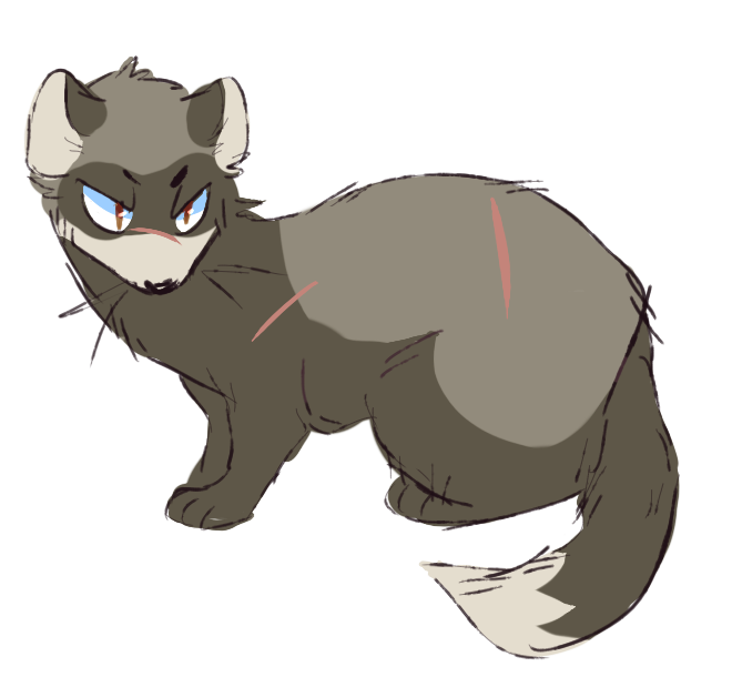 660x610 Collection Of Free Weasel Drawing Download On Ui Ex