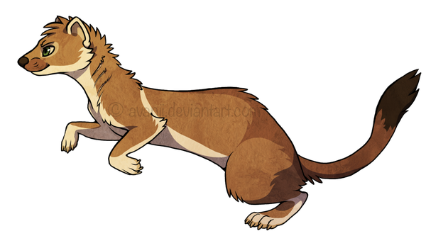 600x350 Collection Of Free Weasel Drawing Ermine Download On Ui Ex
