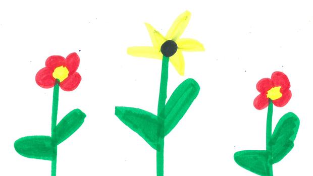 620x349 Weather Drawing Fine Flowers Brainerd Dispatch