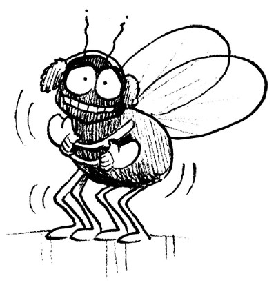 400x410 Weather Bug Experiment Howstuffworks