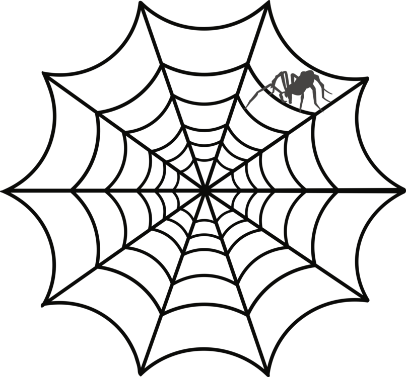 806x750 spider web drawing web design australian funnel web spider cc0