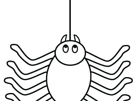 440x330 Cute Spider Drawing