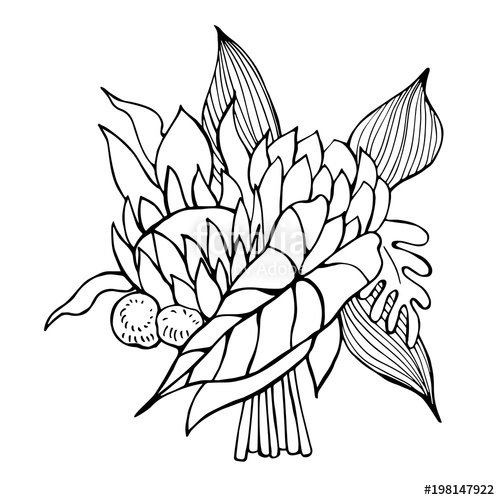 500x500 Hand Drawn Tropical Wedding Bouquet Vector Sketch Illustration