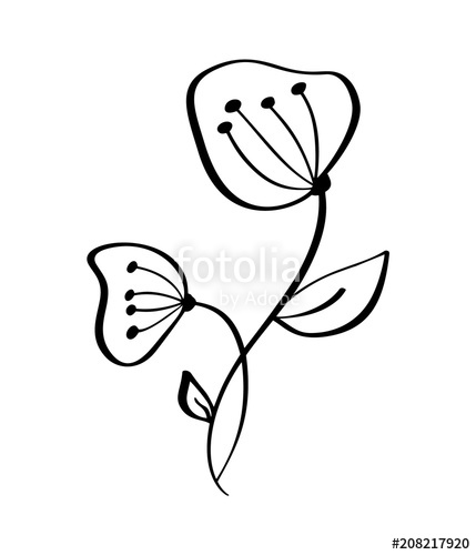 429x500 Hand Drawn Modern Flowers Drawing And Sketch Floral With Line Art