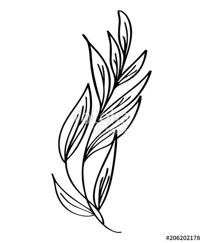 417x500 Hand Drawn Modern Flowers Drawing And Sketch Floral With Line Art