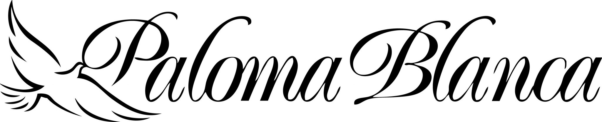 2048x415 Timeless Bridalwear Affordable Designer Wedding Dresses Trim