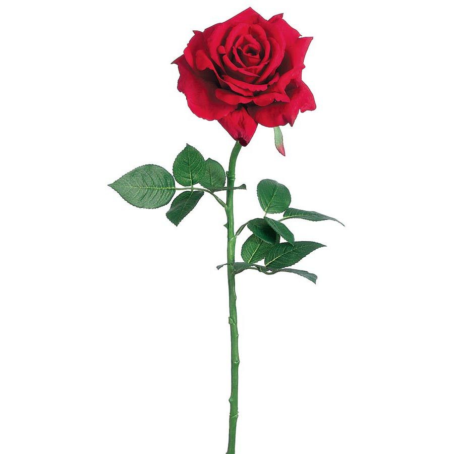 900x900 Diana Open Silk Red Rose