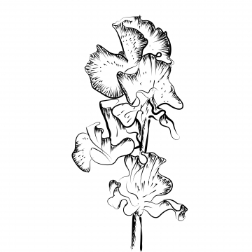 360x360 Floral Vector Spring Card Composition Design Tropical Flowers