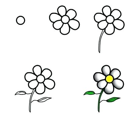 450x389 How To Draw A Cute Flower Step