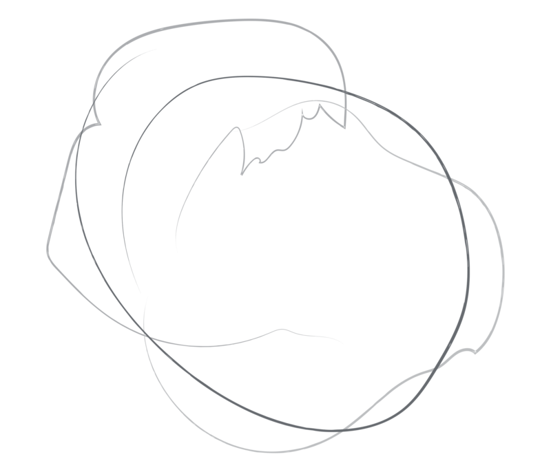 800x686 Oregon, Pacific Northwest, And Destination Wedding Photographer