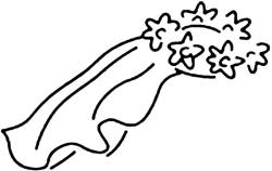 250x158 Wedding Veil Clipart No Background, Free Download Clipart