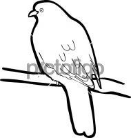 190x200 Hand Drawn Icon From Pictofigo For Wedge Tailed Green Pigeon