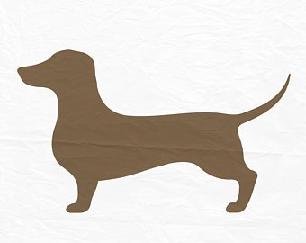 340x270 doxie drawing etsy