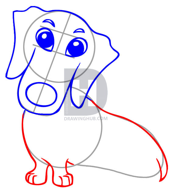 571x640 How To Draw A Dachshund, Step
