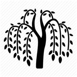 260x260 Drawing, Tree, Illustration, Transparent Png Image Clipart Free