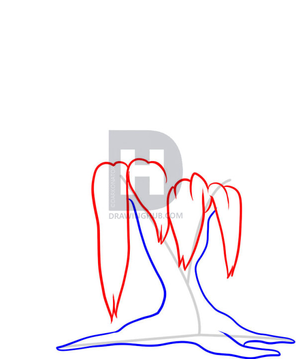595x720 how to draw a willow tree, weeping willow, step
