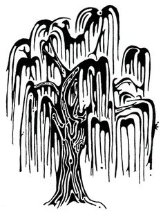 236x310 best tree drawing images weeping willow, willow tree