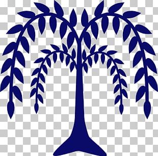 310x306 Weeping Willow Tree Drawing Png, Clipart, Art, Drawing, Leaf, Line