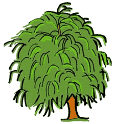 225x242 Willow Tree Clip Art