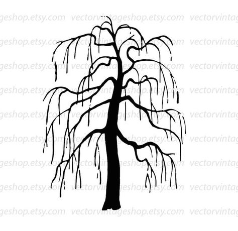 474x460 List Of Weeping Willow Illustration Art Prints Pictures
