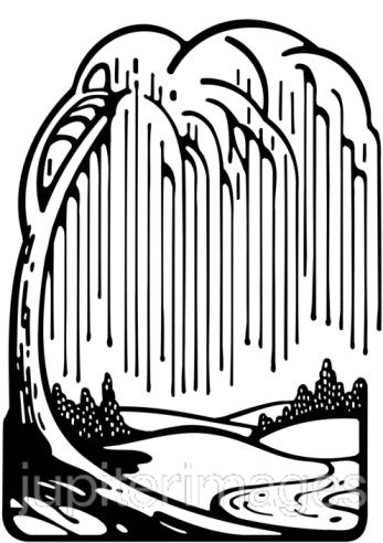 347x492 Weeping Willow Tree Art Lesson Ideas Trees Tree Art, Tree