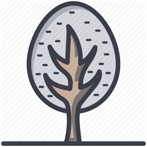 512x512 Willow Drawing Oak Tree Transparent Png Clipart Free Download