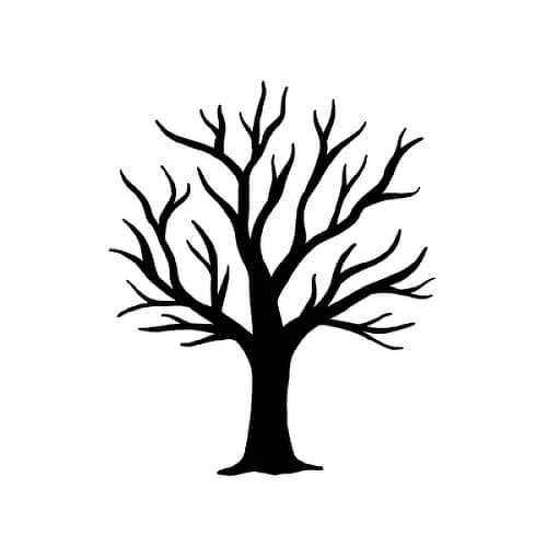 500x500 Willow Tattoo