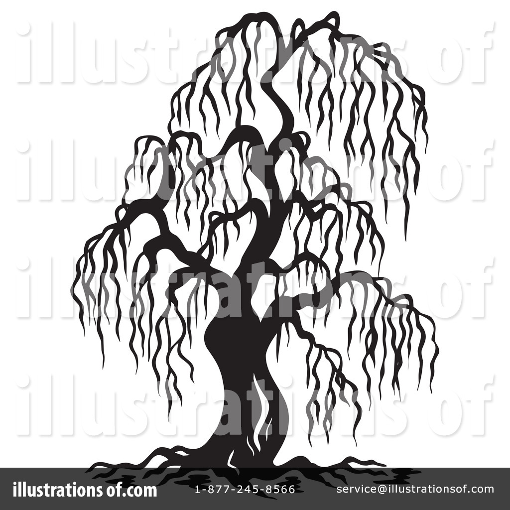 1024x1024 Willow Tree Leaves Clipart