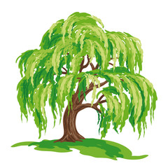 240x240 Willow Tree Vector Photos, Royalty Free Images, Graphics, Vectors