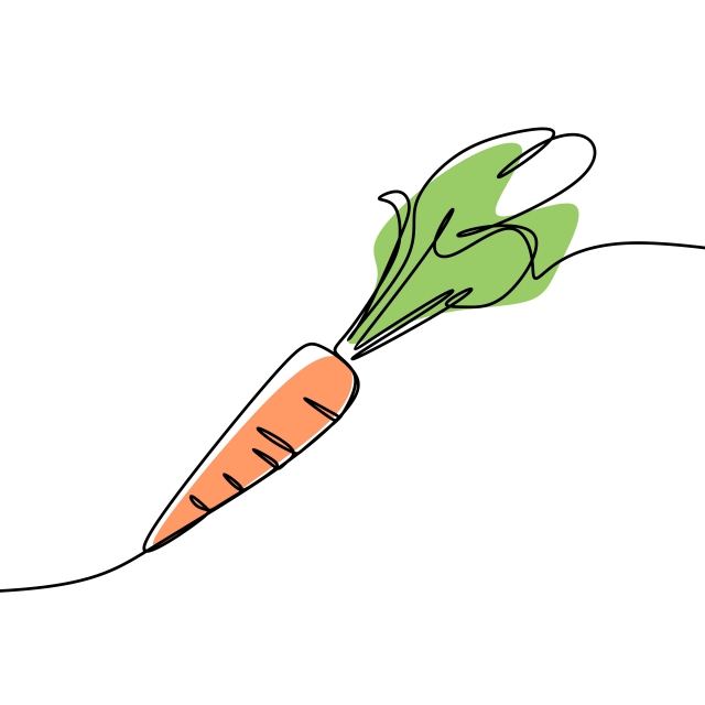 640x640 carrot continuous line art drawing vector, one line, vegetarian