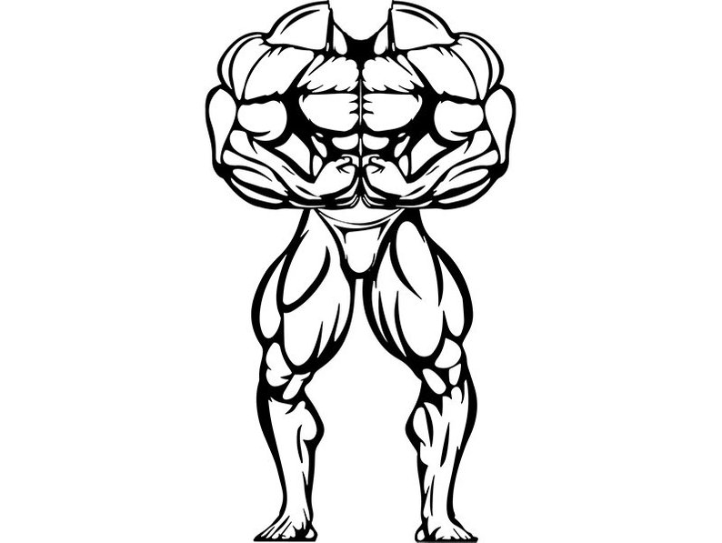 794x597 Bodybuilder No Head Muscles Fit Weightlifting Bodybuilding Etsy