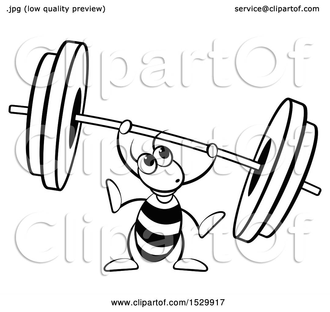 1080x1024 excelent barbell olympic weightlifting powerlifting fitness centre