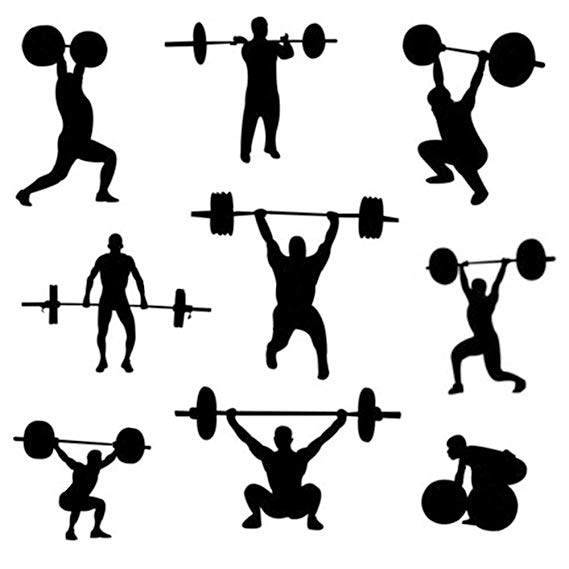 569x569 Topeakmart Olympic Barbell Bar Feet Chrome Weight