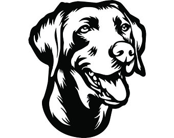 Weimaraner Drawing | Free download on ClipArtMag