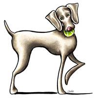 197x200 Drawing Weimaraner Artwork For Sale On Fine Art Prints