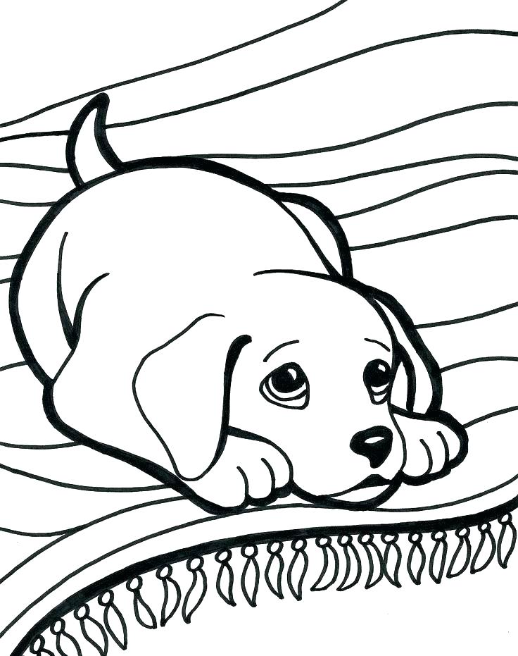 736x931 weiner dog coloring pages dog coloring pages cat and dog coloring
