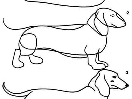 440x330 weiner dog coloring pages, dachshund coloring